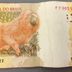 Brazil's Central Bank Sold $1 Billion and Bought It Back