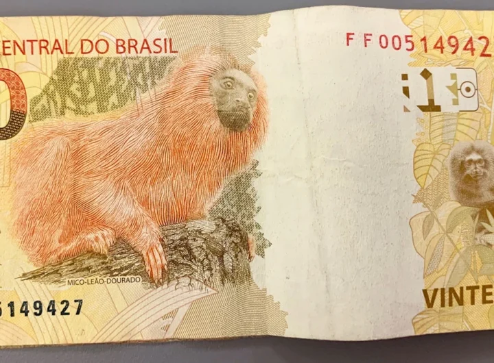 Brazil's Central Bank Sold $1 Billion and Bought It Back