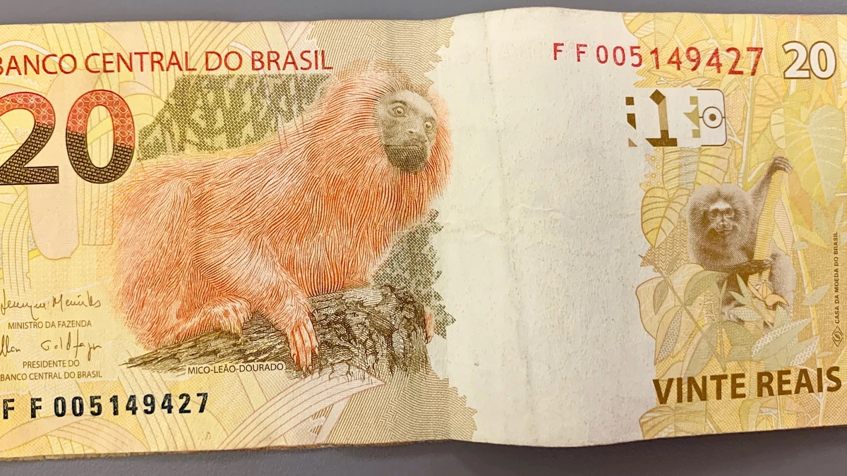 Brazil's Central Bank Sold $1 Billion and Bought It Back