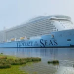 Royal Caribbean Passenger Spent 20 Hours at Sea Inside a Lifebuoy
